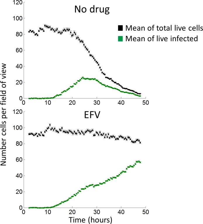 Figure 2—figure supplement 6.