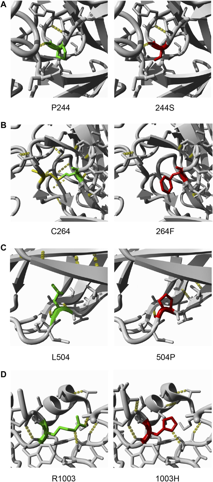 FIGURE 2