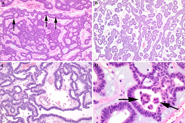 Fig. 2