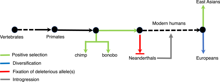 Figure 5