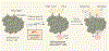 Figure 1 |