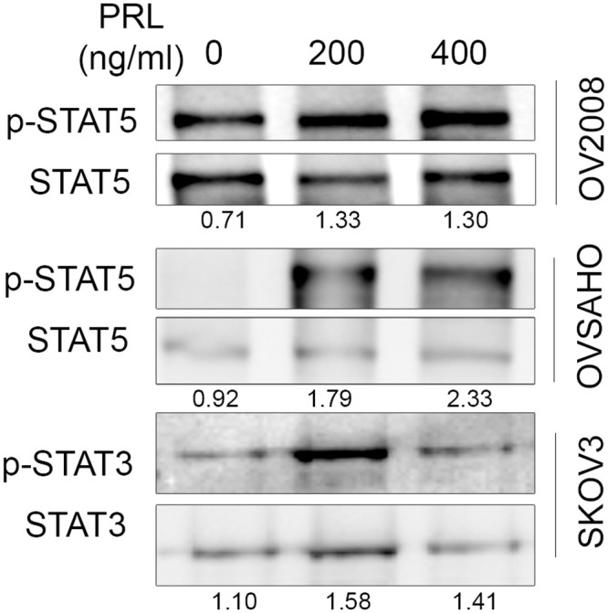 Fig 5