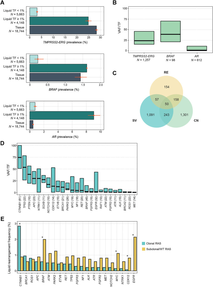 Figure 6. Rearrangements in prostate and colorectal cancers. A, Comparison of the prevalence of activating rearrangements among prostate cancer tissue biopsies and liquid biopsies with TF ≥1% and <1%. B, The clonality (VAF/TF) of driver rearrangements like TMPRSS2-ERG and BRAF, and putative acquired resistance rearrangements in AR in prostate cancer LBx. C, The overlapping appearance of AR variants in the same prostate cancer LBx. CN, copy-number amplification; RE, rearrangement; SV, short variant (mutation or insertion/deletion). All of the variants are predicted to be activating and appear as acquired resistance after exposure to androgen deprivation therapy and AR inhibitors. D, The clonality (VAF/TF) of the most common pathogenic rearrangements detected in colorectal cancer LBx (N ≥ 10), in order of median VAF/TF. E, A comparison of the rearrangement frequencies among colorectal cancer LBx that have no clonal KRAS/NRAS/BRAF V600E mutations (N = 1,352) versus colorectal cancer LBx and a clonal KRAS or NRAS mutation (with VAF/TF of at least 25%; N = 1,370). Only LBx with TF≥1% were included, and LBx with clonal BRAF V600E mutations were excluded from this analysis. Asterisks denote significant differences in prevalence (FDR < 0.05). Only genes occurring in ≥0.5% of clonal RAS or subclonal/WT RAS samples are presented, but all genes were included in the Benjamini–Hochberg correction of FDR.