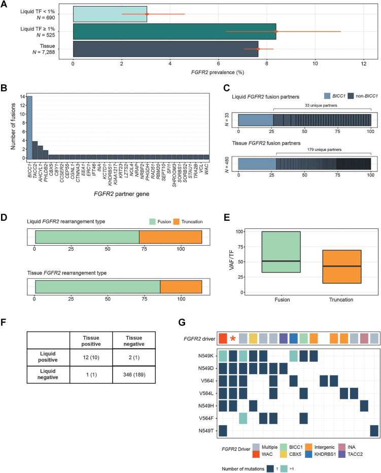 Figure 4. Detection of FGFR2 rearrangements in cholangiocarcinoma. A, Comparison of the prevalence of FGFR2 activating rearrangements among CCA tissue biopsies and liquid biopsies with TF ≥1% and <1%. B, Gene partners in rearrangements predicted to encode FGFR2 fusion genes. C, A comparison between the diversity of FGFR2 fusion gene partners in CCA tissue and liquid biopsies. D, A comparison of the prevalence of FGFR2 fusions versus truncations in CCA tissue and liquid biopsies. E, The clonality (VAF/TF) of FGFR2 fusions and rearrangements in CCA liquid biopsies. F, Concordance of FGFR2 rearrangement detection in a set of samples from the same patient (201 CCA, 160 CUP pairs). Numbers in parentheses are the concordance results within CCA pairs alone. G, Results from 16 LBx where FGFR inhibitor resistance mutations were detected (one sample per vertical column). The top row shows the presumed FGFR2 driver, while the grid below shows the presence of particular FGFR inhibitor acquired resistance mutations. Colors indicate the gene fusion partners detected, “intergenic” indicates a truncation without a specific fusion partner, and the red asterisk denotes a sample with a FGFR2 C382R driver mutation. In 15 of 16 samples, a FGFR2 driver variant was detected alongside resistance mutations.