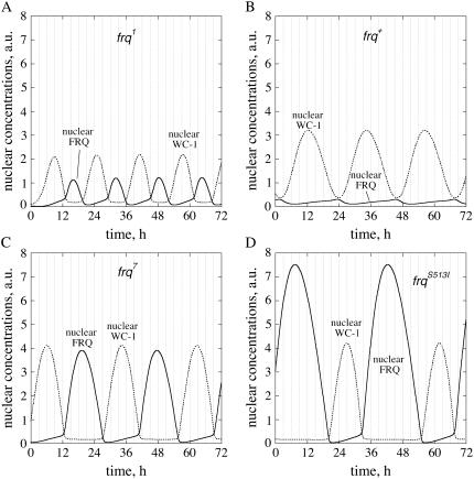 FIGURE 5