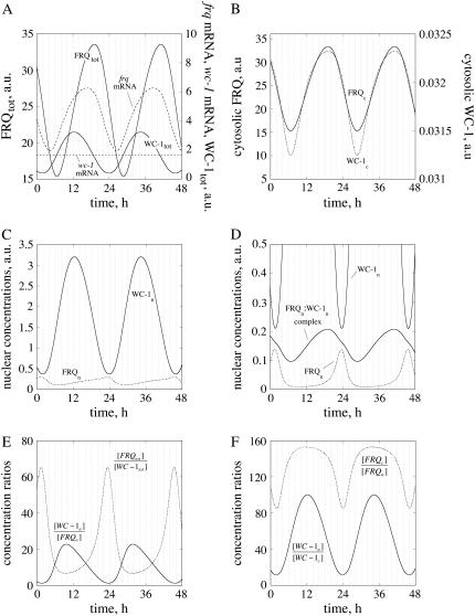 FIGURE 2