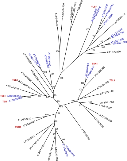 Figure 5.