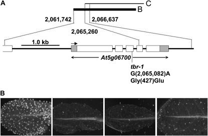 Figure 4.