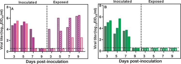 FIG 1