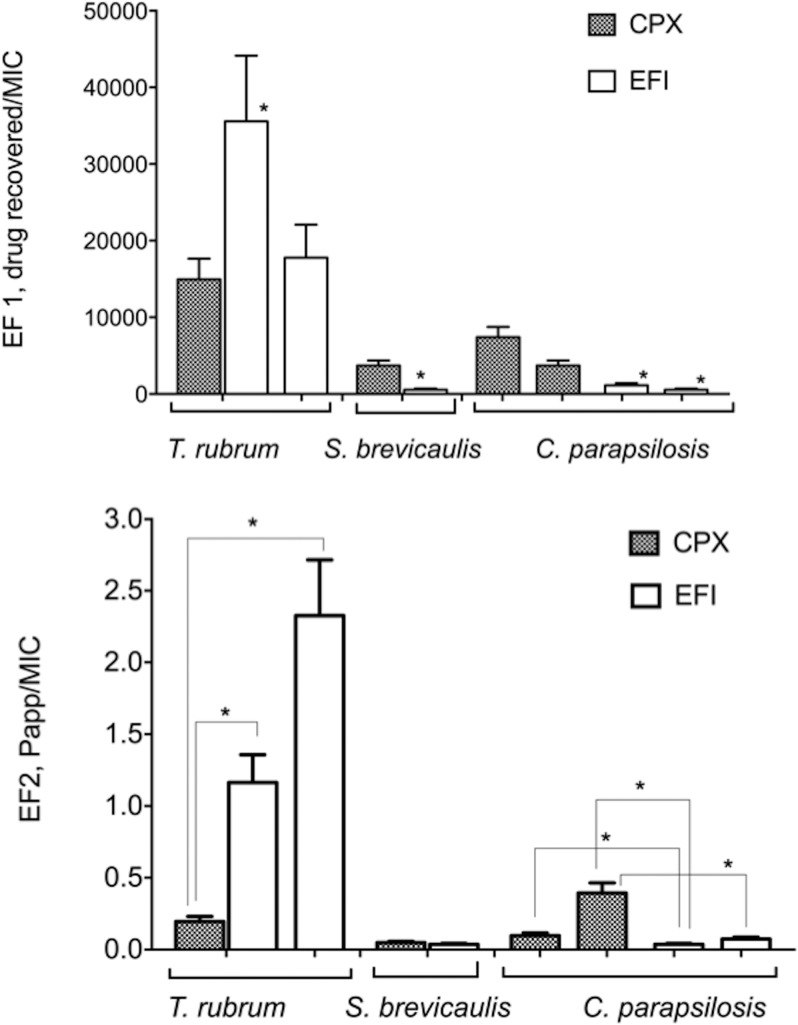 FIG 2