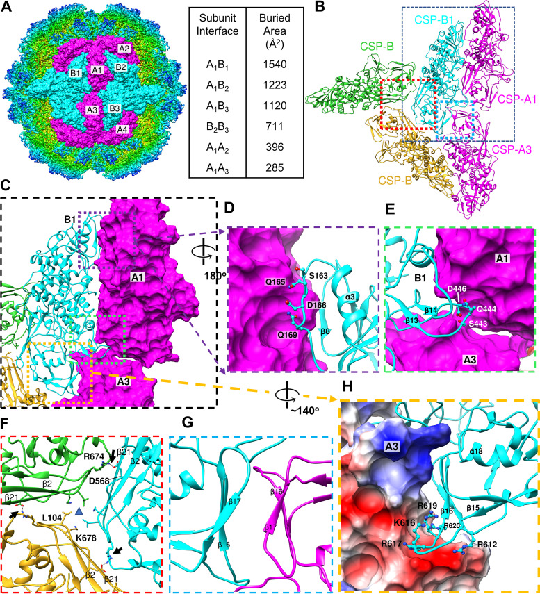 FIG 3