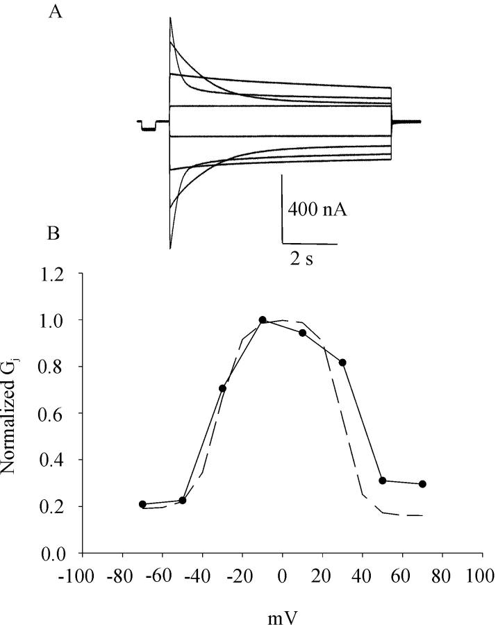 FIGURE 8