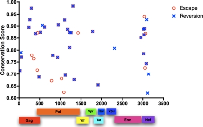 FIG. 2.