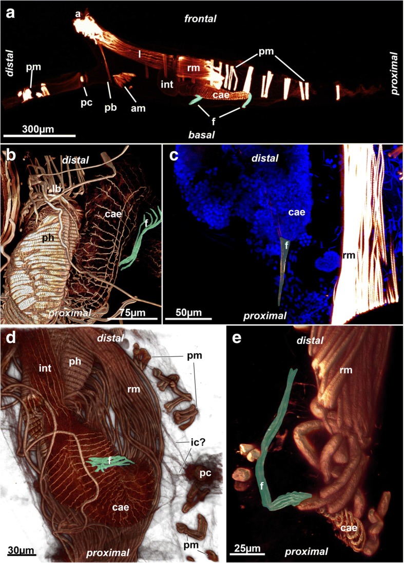 Fig. 3