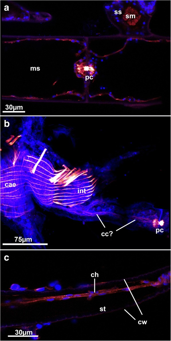 Fig. 8