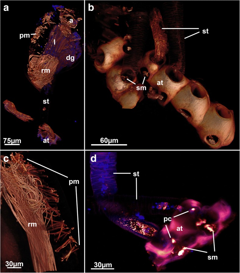 Fig. 7