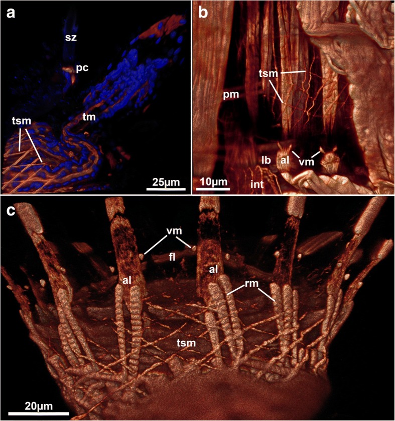 Fig. 10