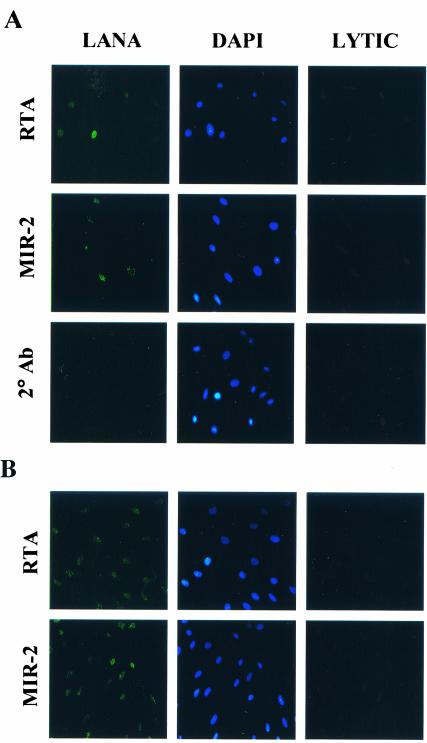 FIG. 10.