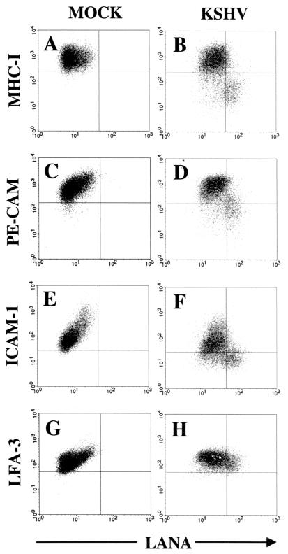 FIG. 7.