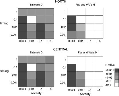 Figure 4.—