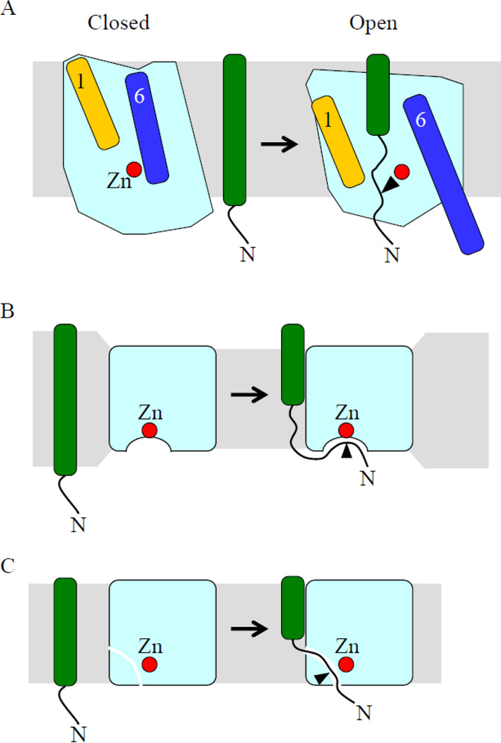 Figure 8