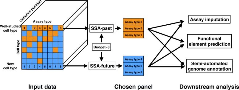 Fig. 1