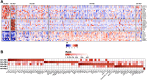 Figure 5. Gene expression and DNA methylation analysis converges on KLF5 TF in AR−/NE− tumors. A, Heat map representing differentially expressed TFs in five subtypes of mCRPC. B, Heat map representing top 20 enriched TFs in hypomethylated regions of the five mCRPC subtypes. TFs are ranked by log (P value). The color intensity indicates the rank of the TFs from most enriched (dark red) to least enriched (white).