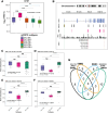 Figure 4. Hypomethylation in the putative enhancer regions of CHD7 is correlated with elevated gene expression in AR−/NE+. Integration of gene expression and DNA-methylation data for the CHD7 gene. A, Box plots representing CHD7 gene expression in the five mCRPC subtypes, colored according to the key below the plot. B, Top, chromosomal location of the CHD7 gene along with H3K27ac ChIP-seq marker, DHS, and DMRs in AR−/NE+ tumors compared with AR+/NE−. Bottom, ChIP-seq data for ASCL1 in different cell lines as indicated in the panels. The vertical dashed green and red lines show the transcription start site and transcription end site of the CHD7 gene, respectively. The yellow bar indicates the canonical promoter region of CHD7. C–F, Box plots showing mean methylation level per sample in DMR1 (C), DMR2 (D), DMR3 (E), and DMR4 (F) for AR−/NE−, AR−/NE+, and AR+/NE− subtypes. Pearson correlations were calculated between CHD7 gene expression and mean methylation of each sample at DMRs1–4. Box plots should be interpreted as follows: horizontal lines, median values; boxes extend from the 25th to the 75th percentile of each group's distribution of values; vertical extending lines, adjacent values (the most extreme values within 1.5 interquartile range of the 25th and 75th percentile of each group). Differences between groups were assessed by the Kruskal–Wallis test. Significance is indicated as follows: ns, not significant; *, P ≤ 0.05; **, P ≤ 0.01; ***, P ≤ 0.001; ****, P ≤ 0.0001. G, Venn diagram representing the overlap between the top 10 TF motifs enriched at each DMR location. Neuroendocrine-lineage motifs found in DMRs are labeled in the panel.