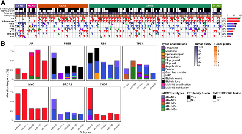 Figure 3. Somatic and structural alterations associated with subtypes of mCRPC. A, Top rows show mCRPC subtypes, ETS family fusions, TMPRSS2-ERG fusions, tumor purity, and tumor ploidy in the WCDT cohort. Bottom rows show occurrence of AR, AR enhancer, PTEN, RB1, TP53, MYC, BRCA2, and CHD7 alterations in each sample. Tumors are sorted by their subtypes. Alteration frequency is shown to the right. B, Bar plots representing alteration frequency (%) of AR, PTEN, RB1, TP53, MYC, BRCA2, and CHD7 genes within each subtype. In both panels, types of alterations are colored (and/or marked with symbols) according to the legends.