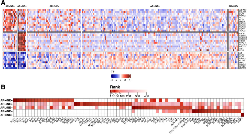 Figure 5. Gene expression and DNA methylation analysis converges on KLF5 TF in AR−/NE− tumors. A, Heat map representing differentially expressed TFs in five subtypes of mCRPC. B, Heat map representing top 20 enriched TFs in hypomethylated regions of the five mCRPC subtypes. TFs are ranked by log (P value). The color intensity indicates the rank of the TFs from most enriched (dark red) to least enriched (white).