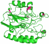 Figure 8