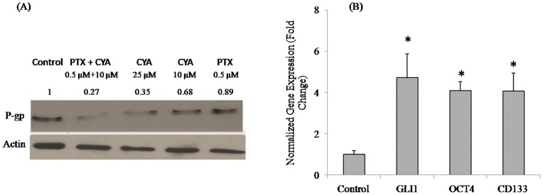 Figure 5