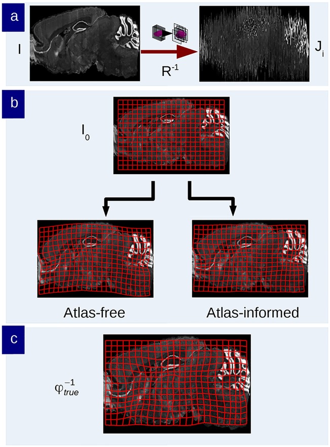 Fig 5