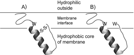 FIG. 2.