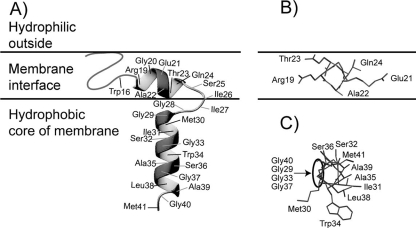 FIG. 3.