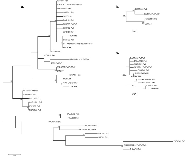 Fig 4