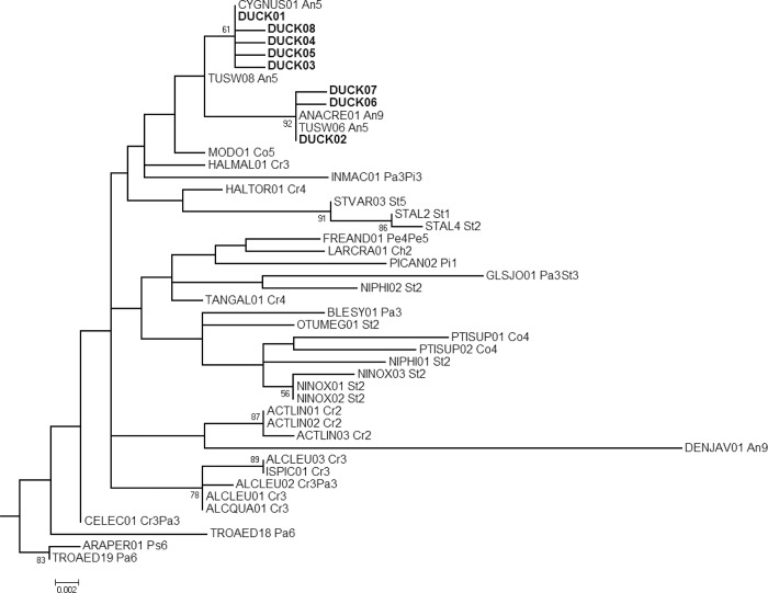 Fig 3