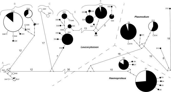 Fig 1