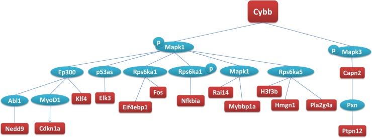 Fig 3