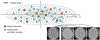 Fig.2.