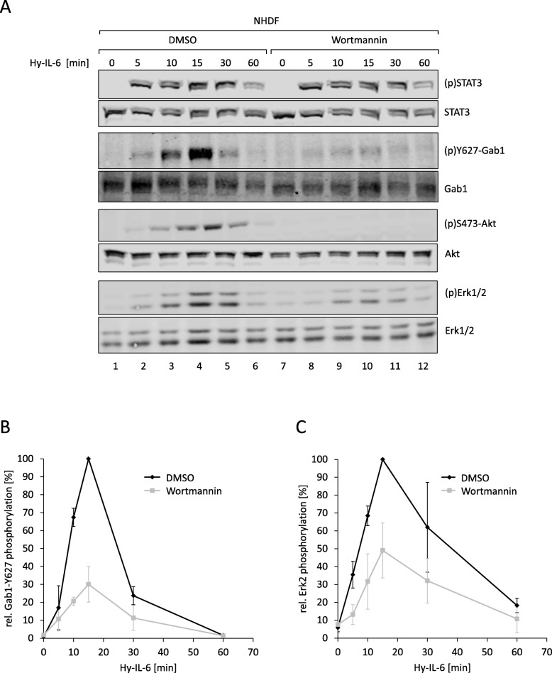 Fig. 9