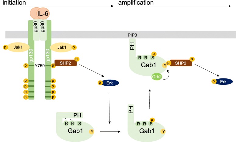 Fig. 11