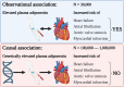 Graphical Abstract