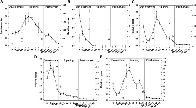 Figure 6.