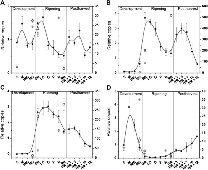 Figure 7.