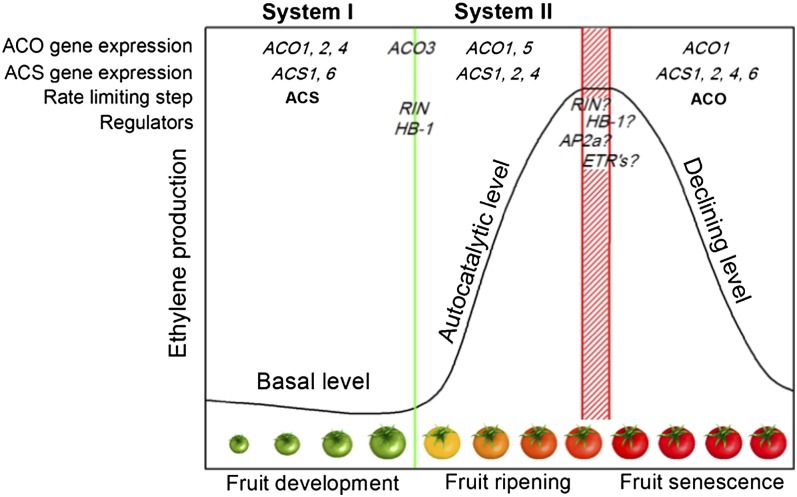 Figure 12.