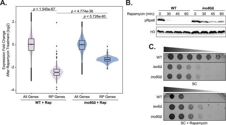 Fig 8