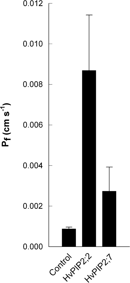 Fig. 6.