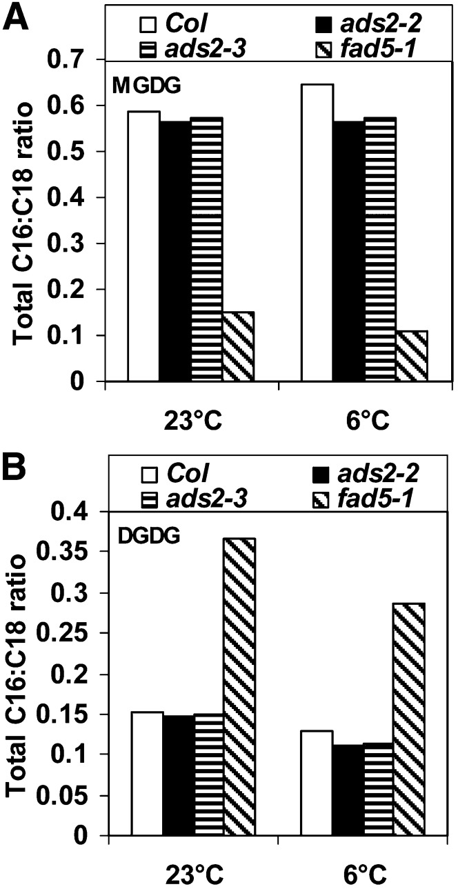 Figure 9.