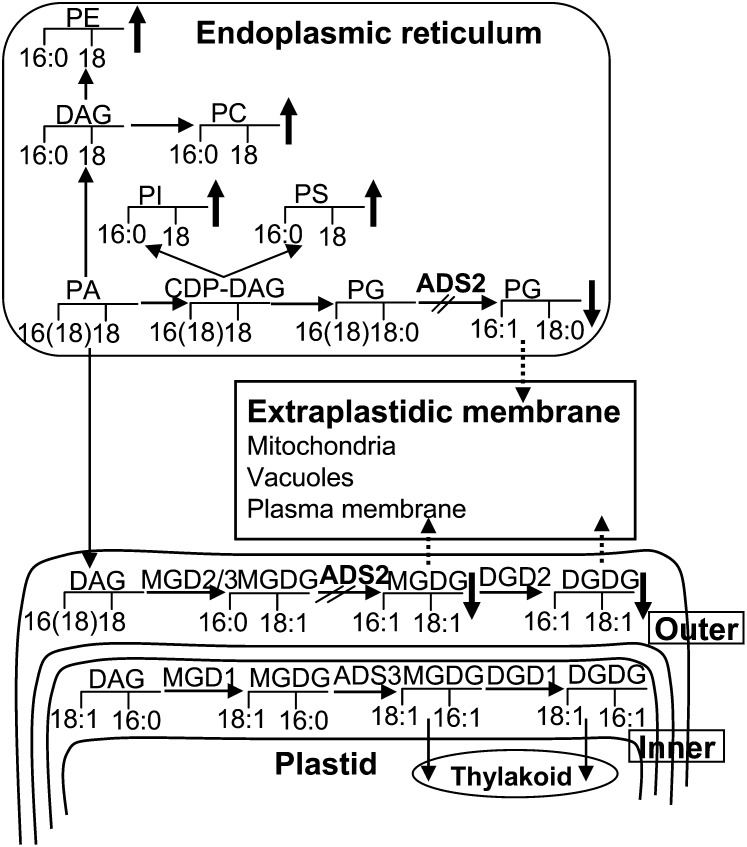 Figure 10.